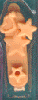 Western Pony 1995